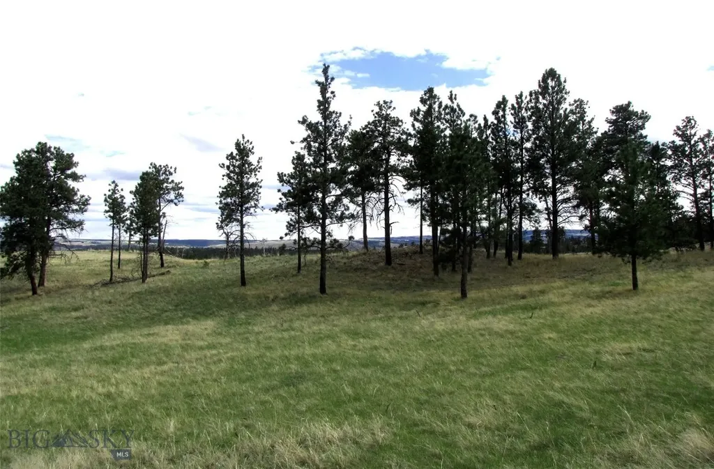Tbd Wild Turkey Ridge Road Columbus MT 59019