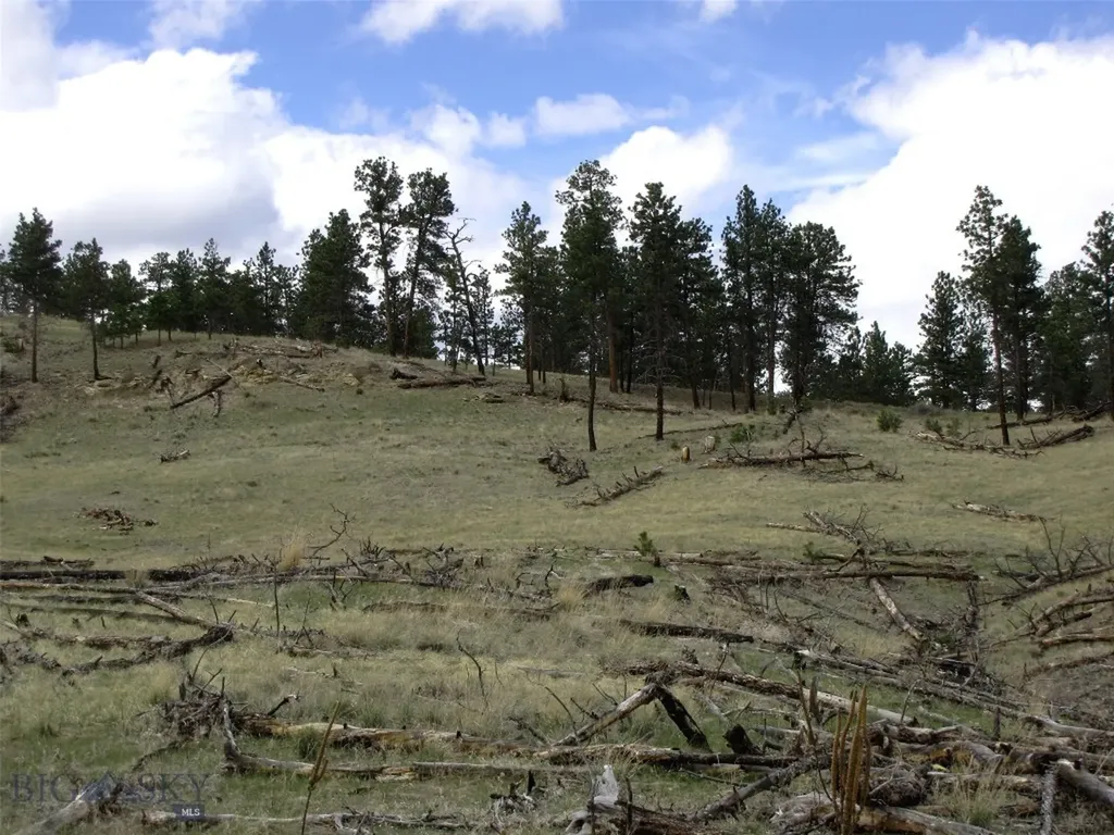 Tbd Wild Turkey Ridge Road Columbus MT 59019
