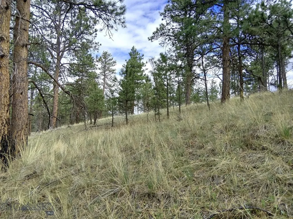 Tbd Wild Turkey Ridge Road Columbus MT 59019