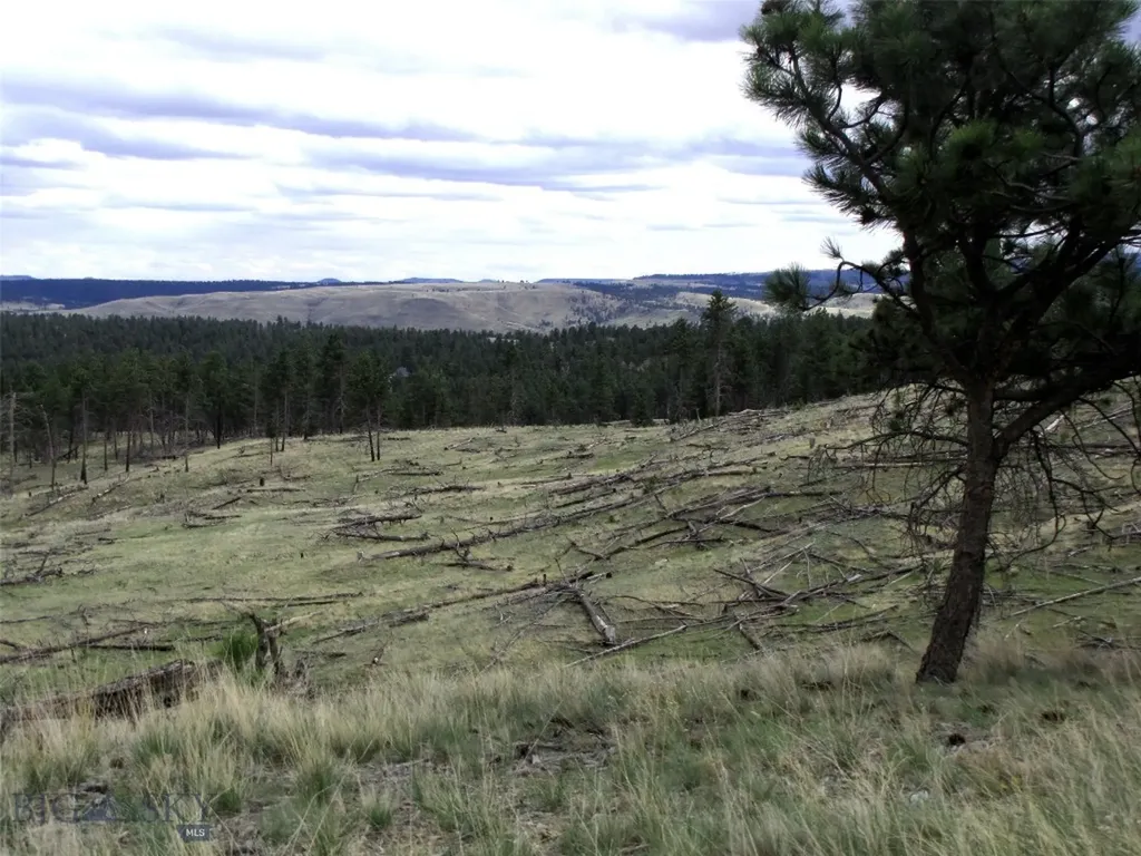 Tbd Wild Turkey Ridge Road Columbus MT 59019