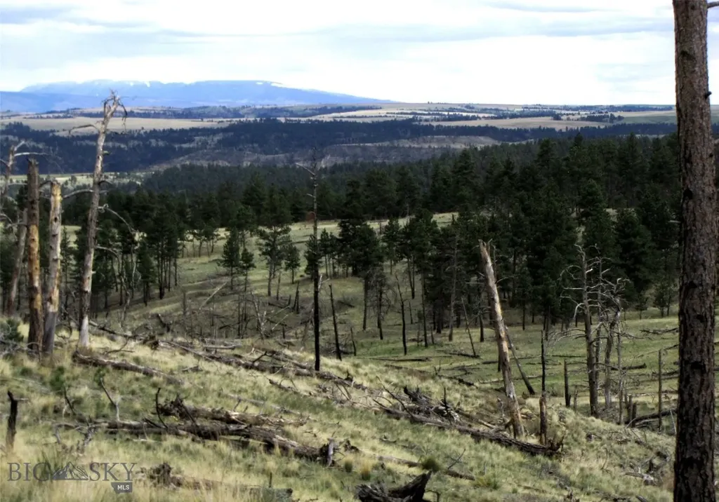 Tbd Wild Turkey Ridge Road Columbus MT 59019