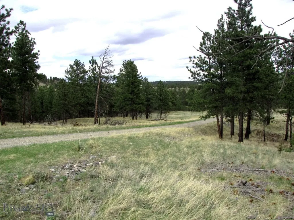 Tbd Wild Turkey Ridge Road Columbus MT 59019