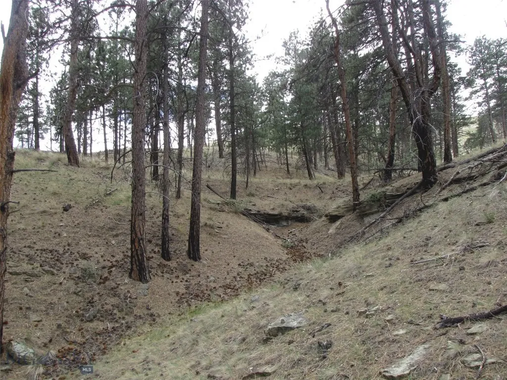 Tbd Wild Turkey Ridge Road Columbus MT 59019