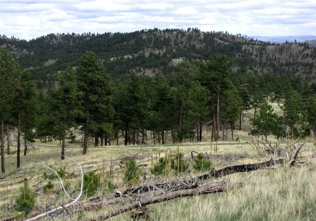 Tbd Wild Turkey Ridge Road Columbus MT 59019