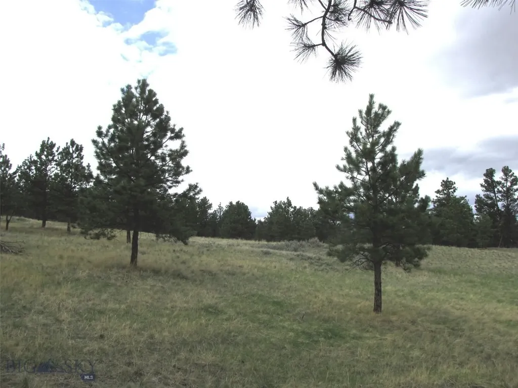 Tbd Wild Turkey Ridge Road Columbus MT 59019