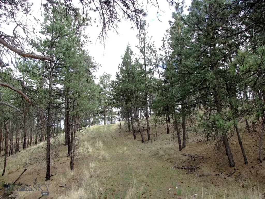 Tbd Wild Turkey Ridge Road Columbus MT 59019