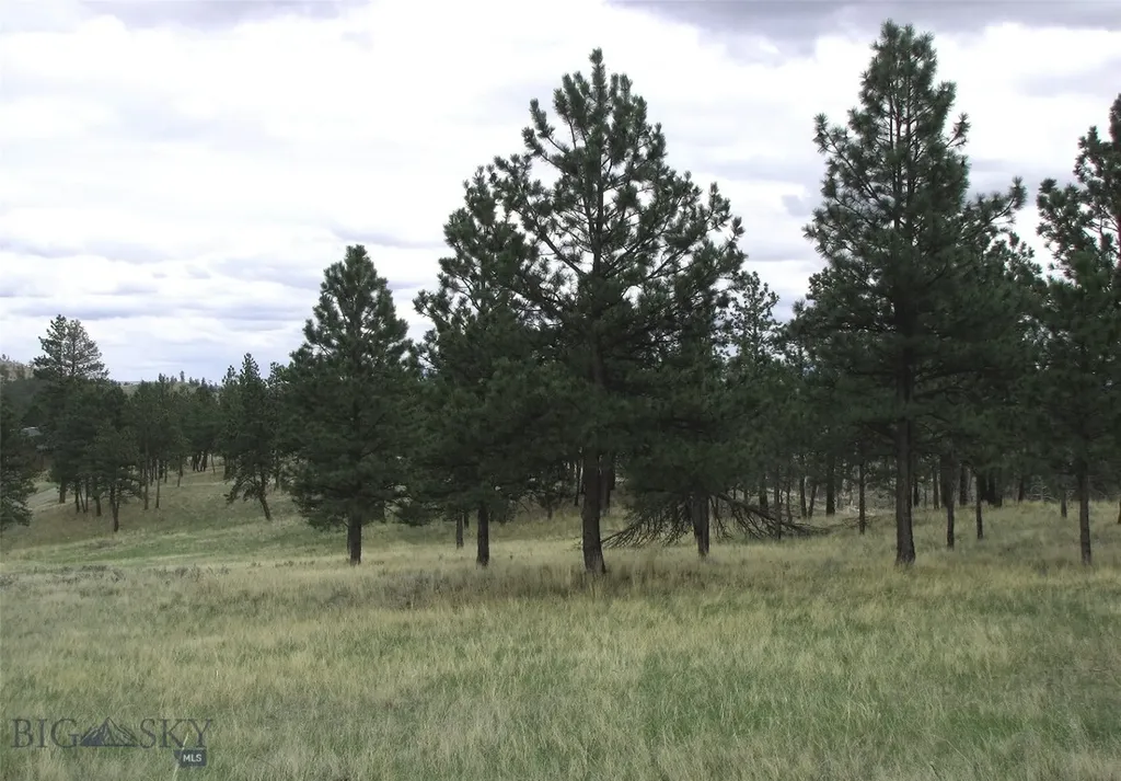 Tbd Wild Turkey Ridge Road Columbus MT 59019