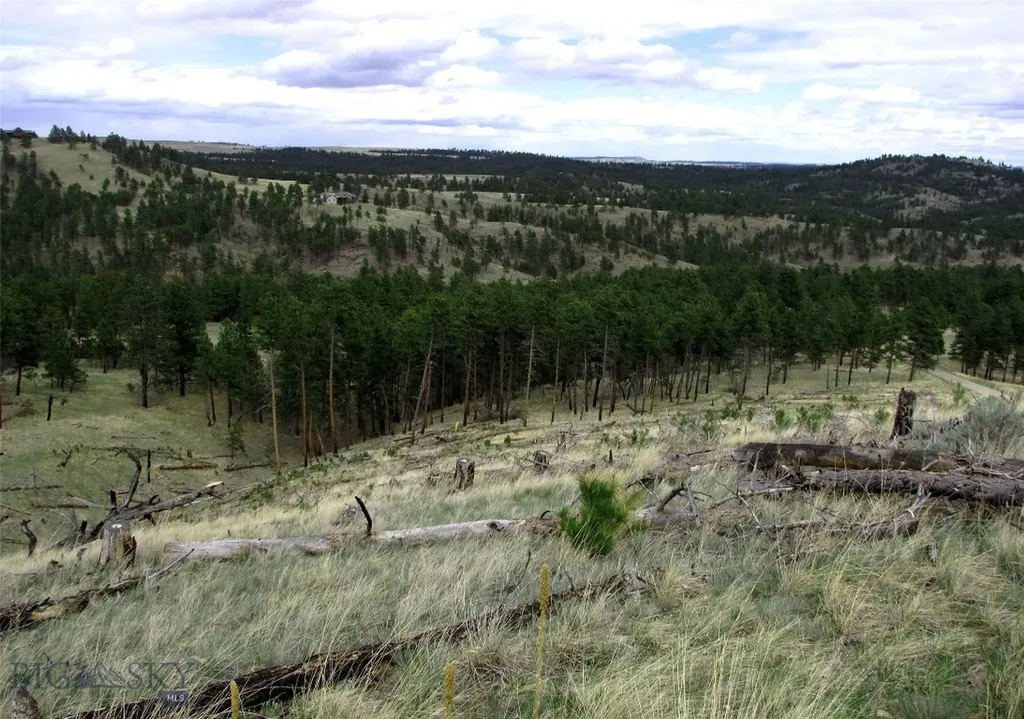 Tbd Wild Turkey Ridge Road Columbus MT 59019
