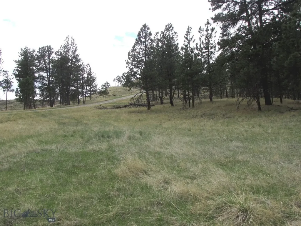 Tbd Wild Turkey Ridge Road Columbus MT 59019