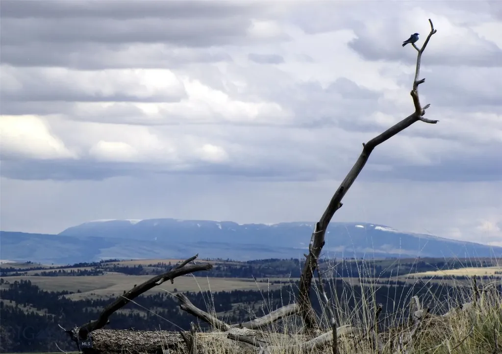 Tbd Wild Turkey Ridge Road Columbus MT 59019