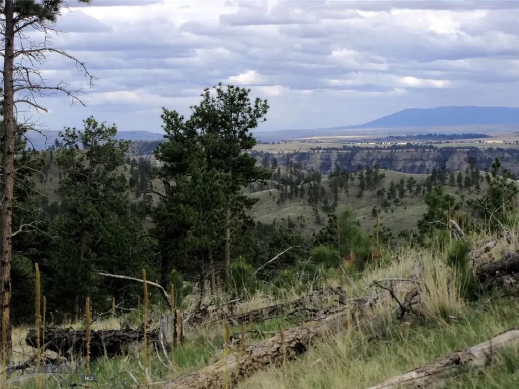 Tbd Wild Turkey Ridge Road Columbus MT 59019