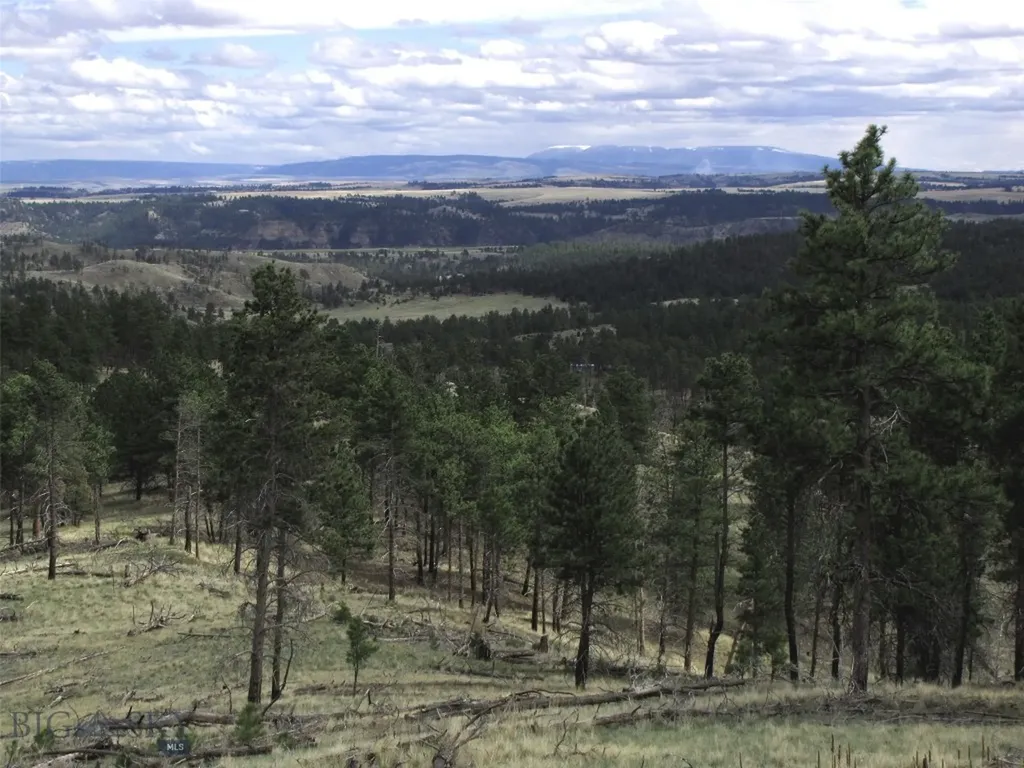 Tbd Wild Turkey Ridge Road Columbus MT 59019