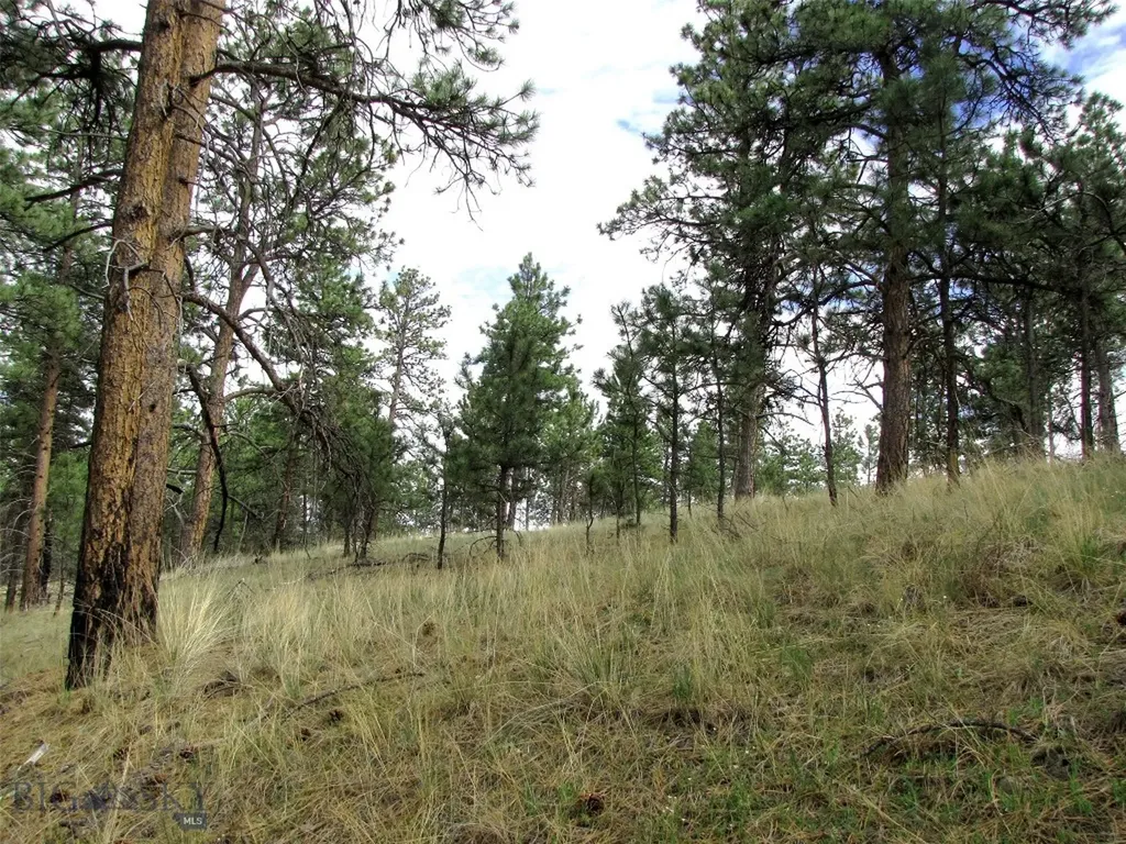 Tbd Wild Turkey Ridge Road Columbus MT 59019