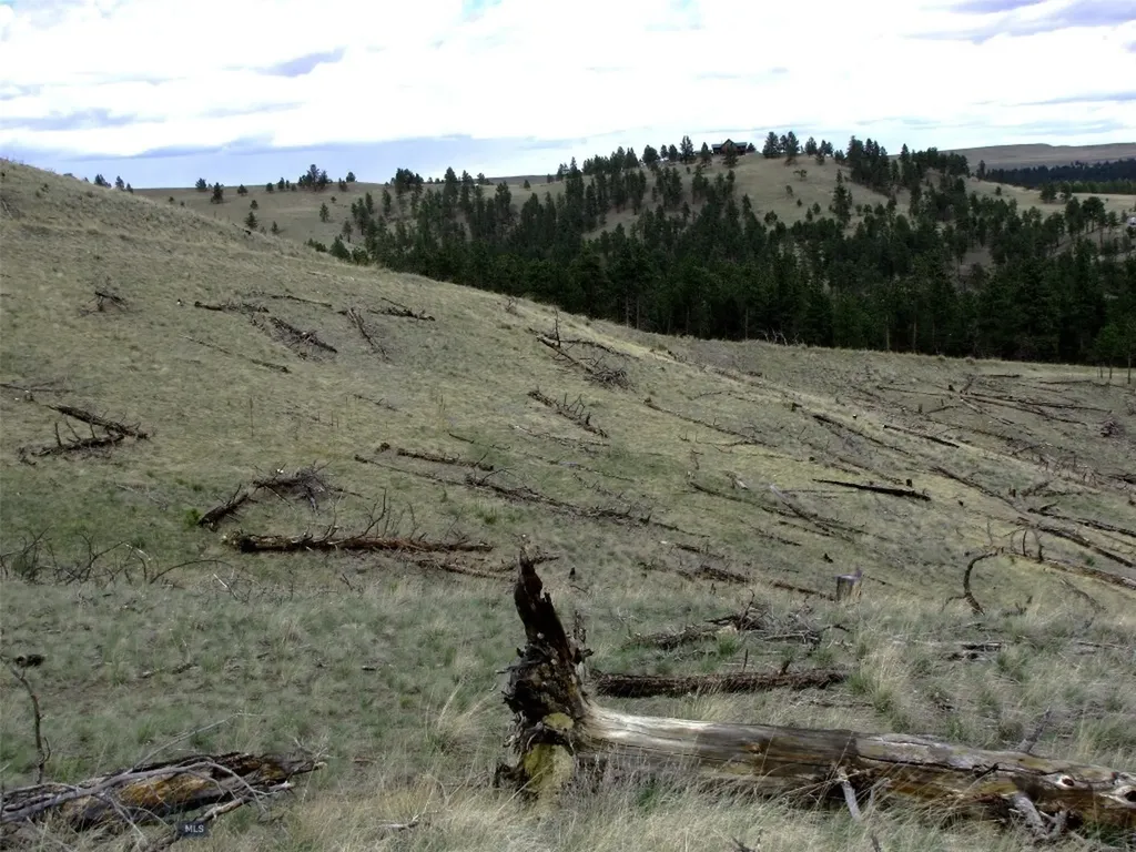 Tbd Wild Turkey Ridge Road Columbus MT 59019