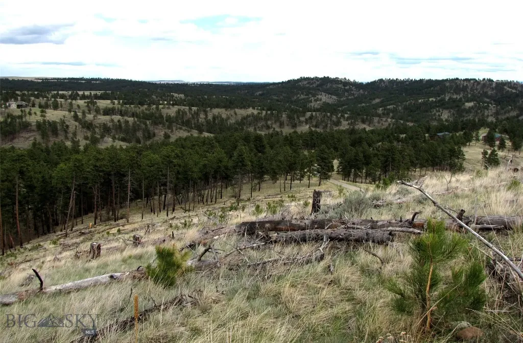 Tbd Wild Turkey Ridge Road Columbus MT 59019