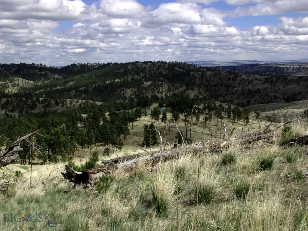 Tbd Wild Turkey Ridge Road Columbus MT 59019