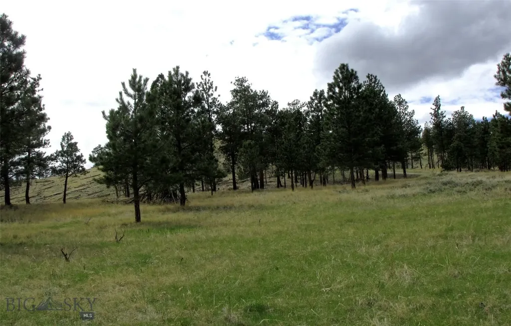 Tbd Wild Turkey Ridge Road Columbus MT 59019