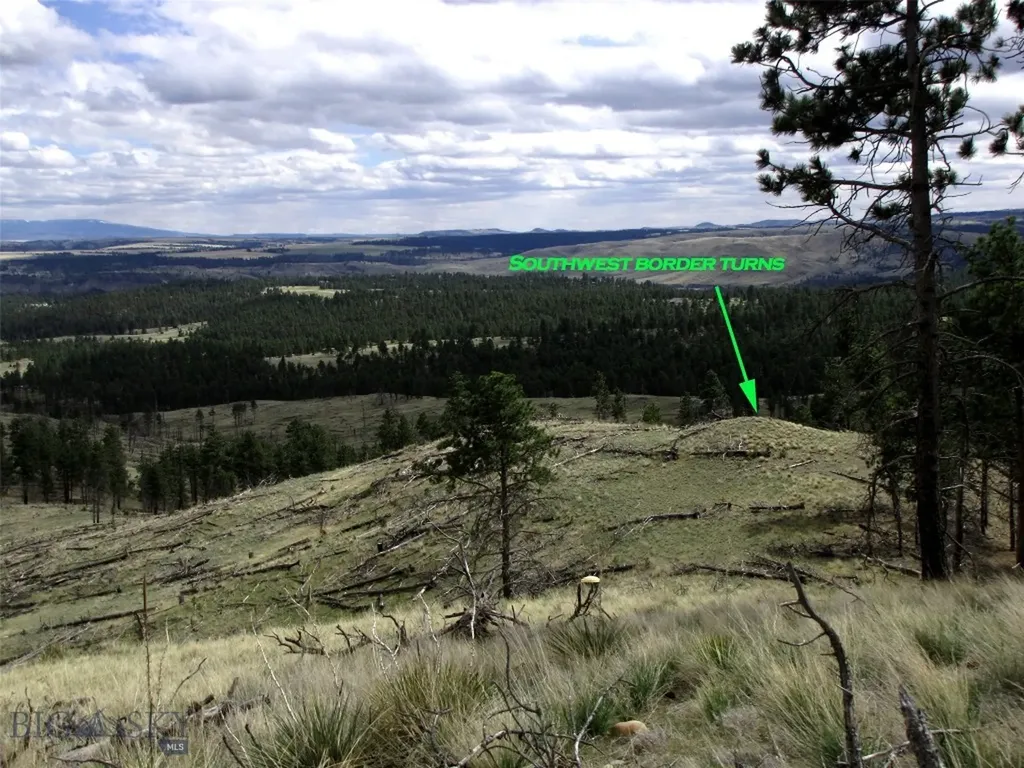 Tbd Wild Turkey Ridge Road Columbus MT 59019