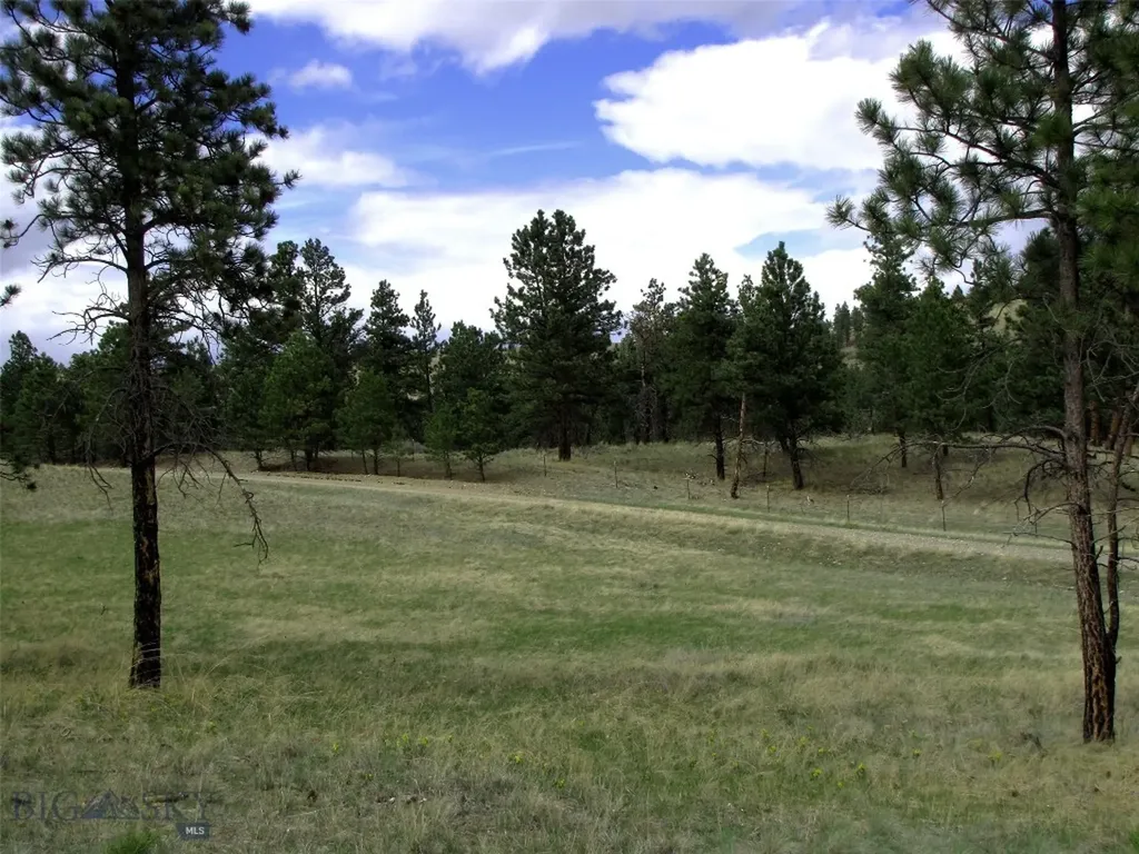 Tbd Wild Turkey Ridge Road Columbus MT 59019