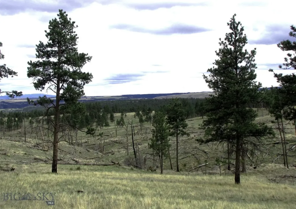 Tbd Wild Turkey Ridge Road Columbus MT 59019