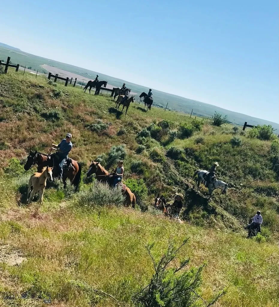 60 Five Mile Creek Road Edgar MT 59026