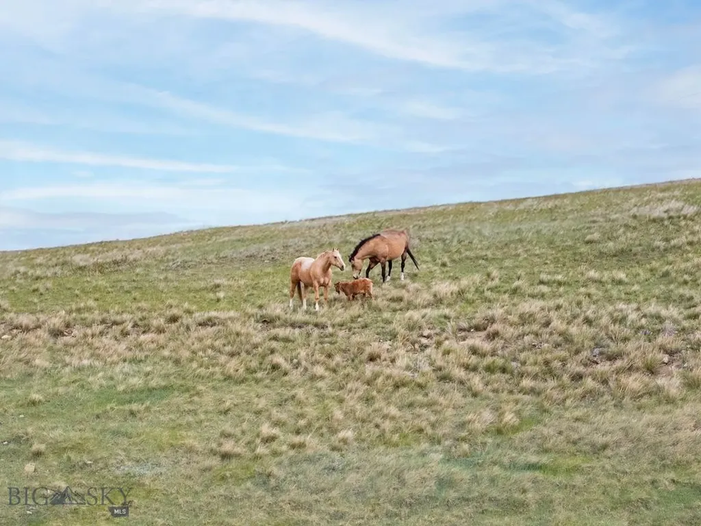 262 Swingley Road Livingston MT 59047