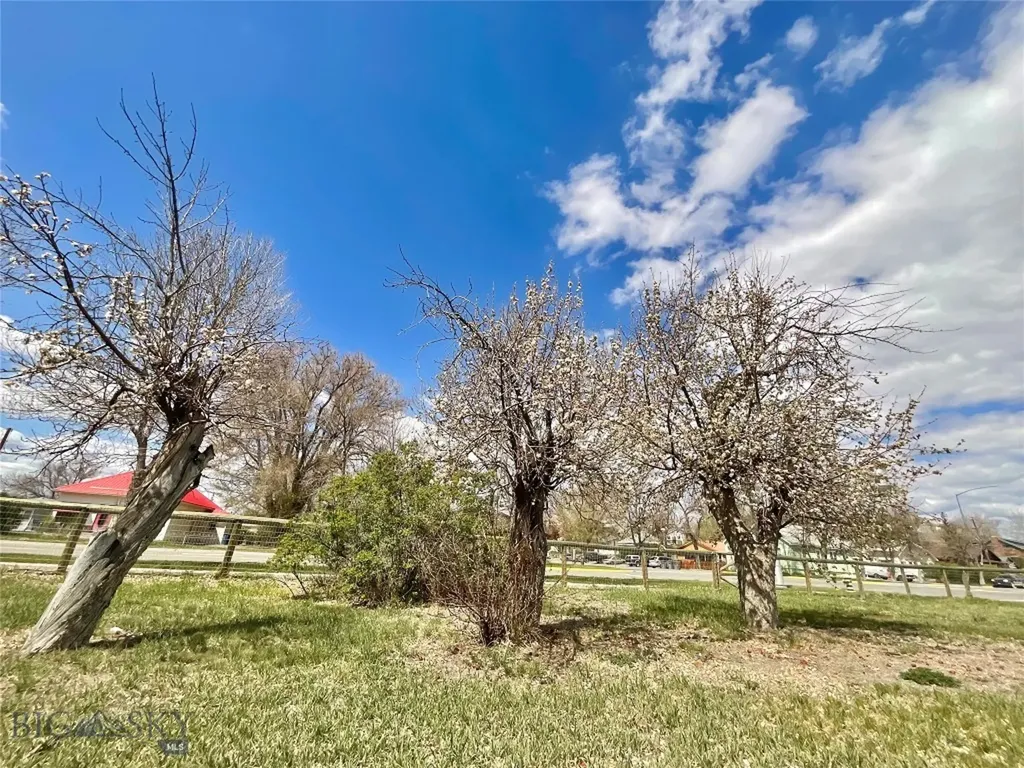 110 N Whitehall Street Whitehall MT 59759