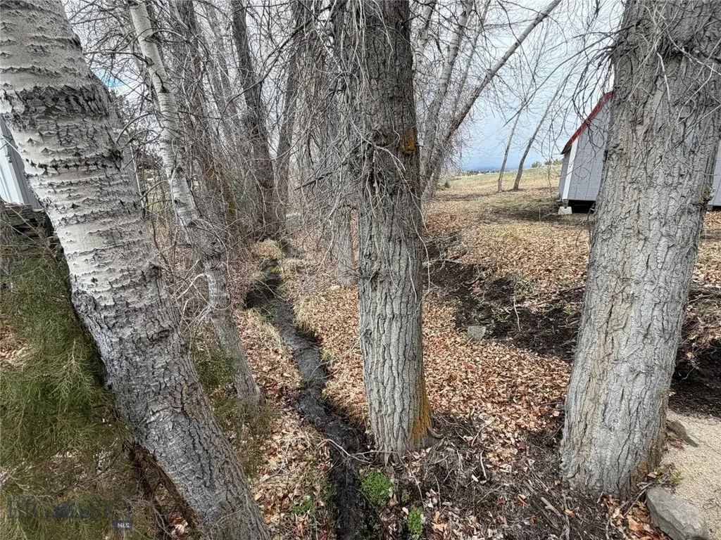 Tbd Maude S Canyon Road Butte MT 59701