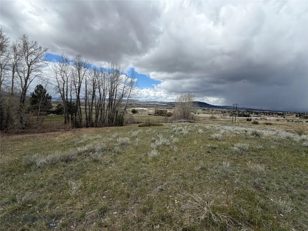 Tbd Maude S Canyon Road Butte MT 59701