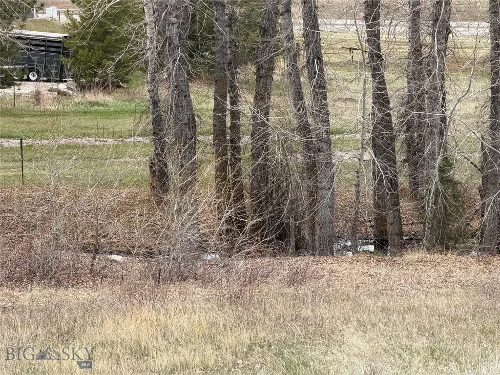 Tbd Maude S Canyon Road Butte MT 59701