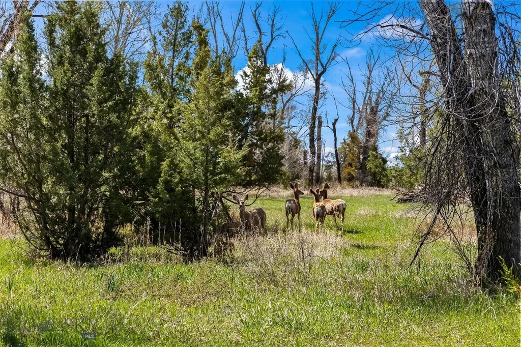 460 Lower Deep Creek Road Townsend MT 59644