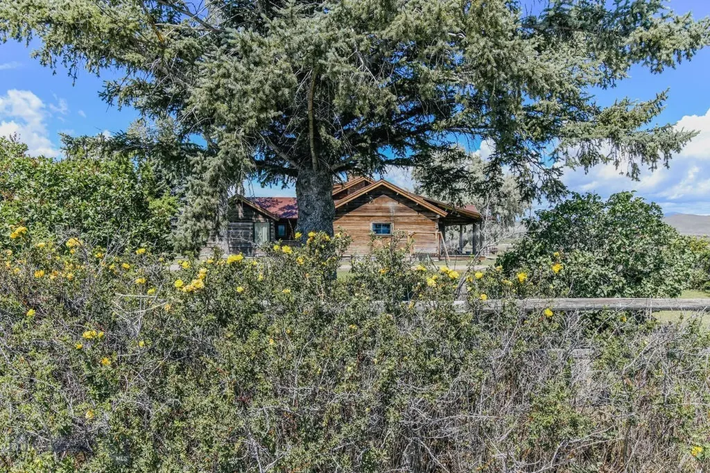 1100 Carrigan Dillon MT 59725