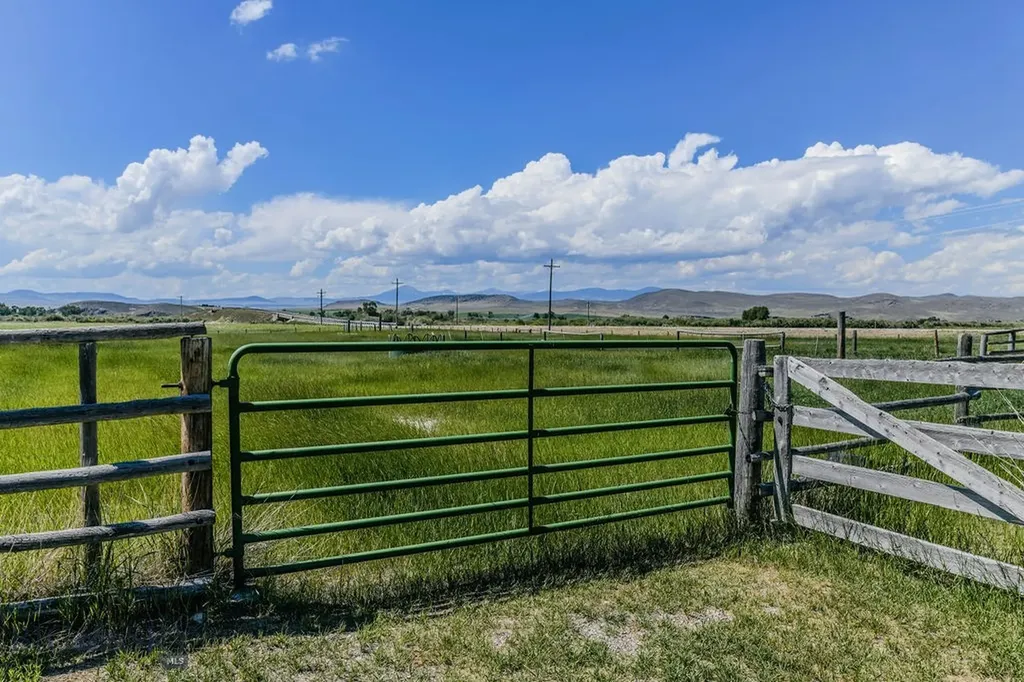 1100 Carrigan Dillon MT 59725