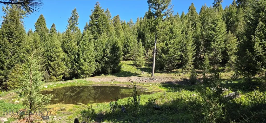 4 Tract, Bull Elk Drummond MT 59832