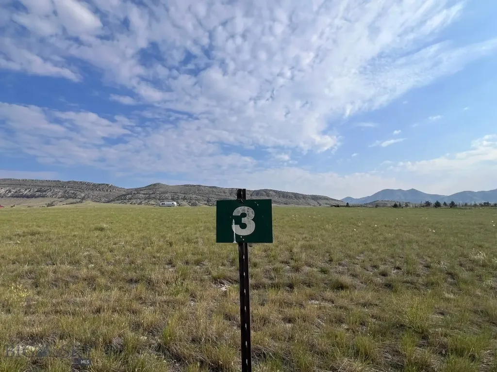 3 Britney Three Forks MT 59752