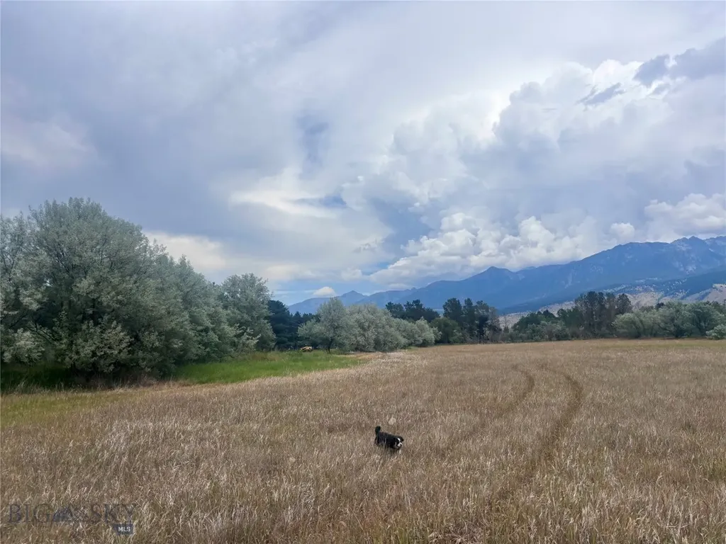 15 Shelter Belt Pray MT 59065