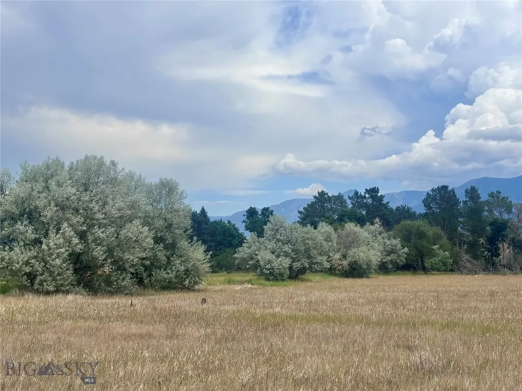 15 Shelter Belt Pray MT 59065