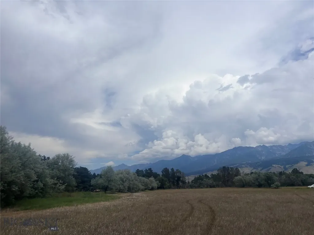 15 Shelter Belt Livingston MT 59065