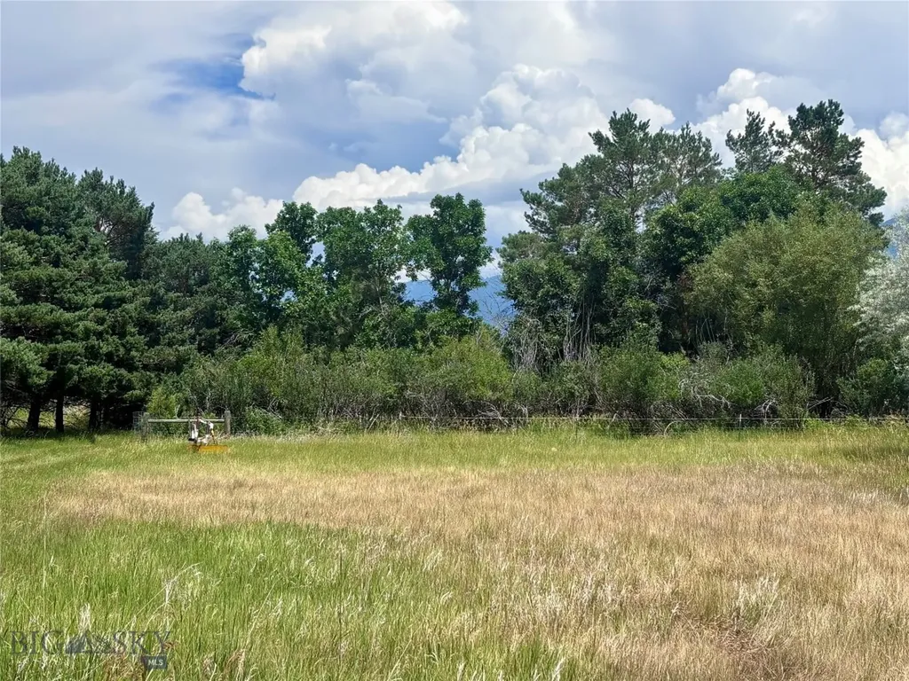 15 Shelter Belt Livingston MT 59065