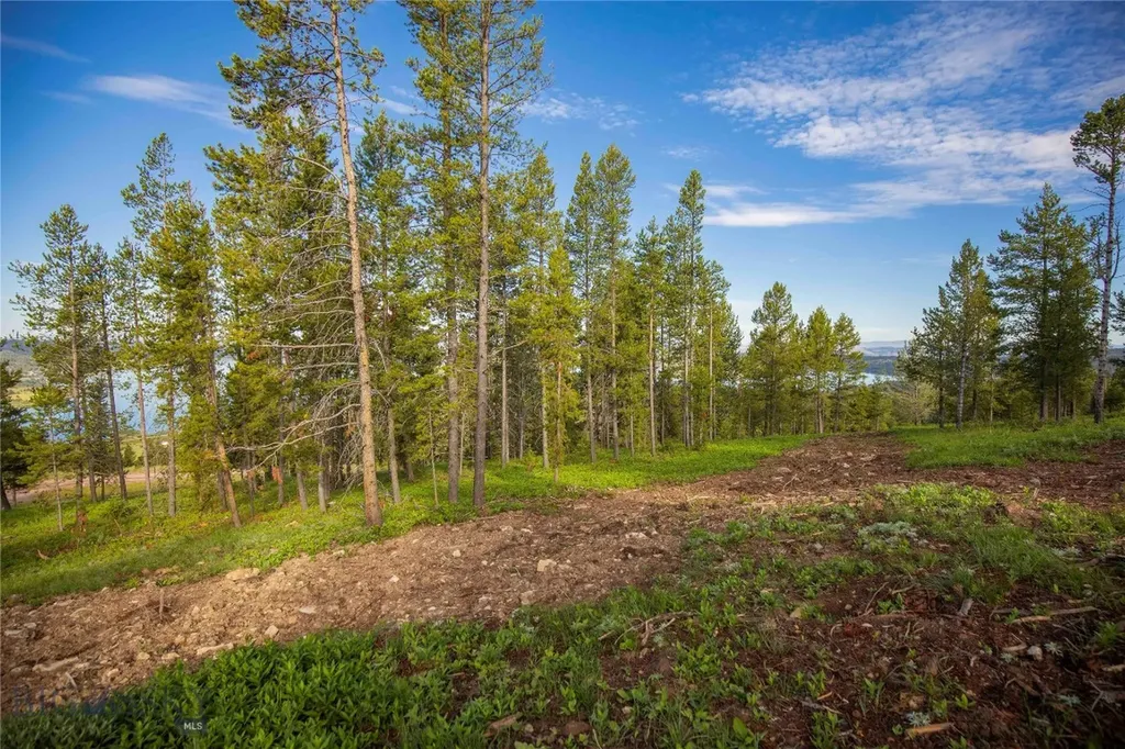 43 Elk Meadows Lane Anaconda MT 59711