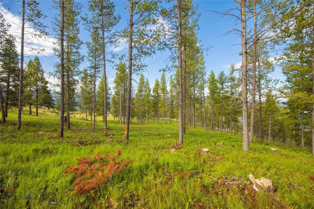 43 Elk Meadows Lane Anaconda MT 59711