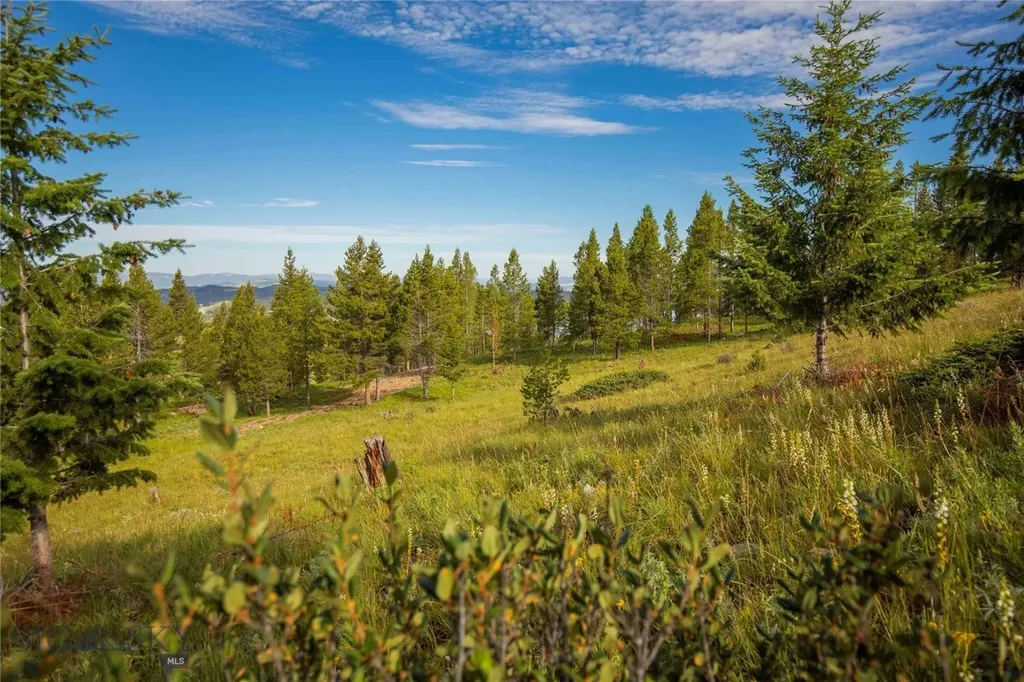 43 Elk Meadows Lane Anaconda MT 59711