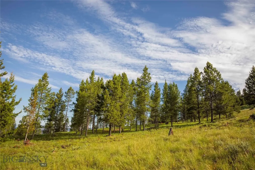 43 Elk Meadows Lane Anaconda MT 59711