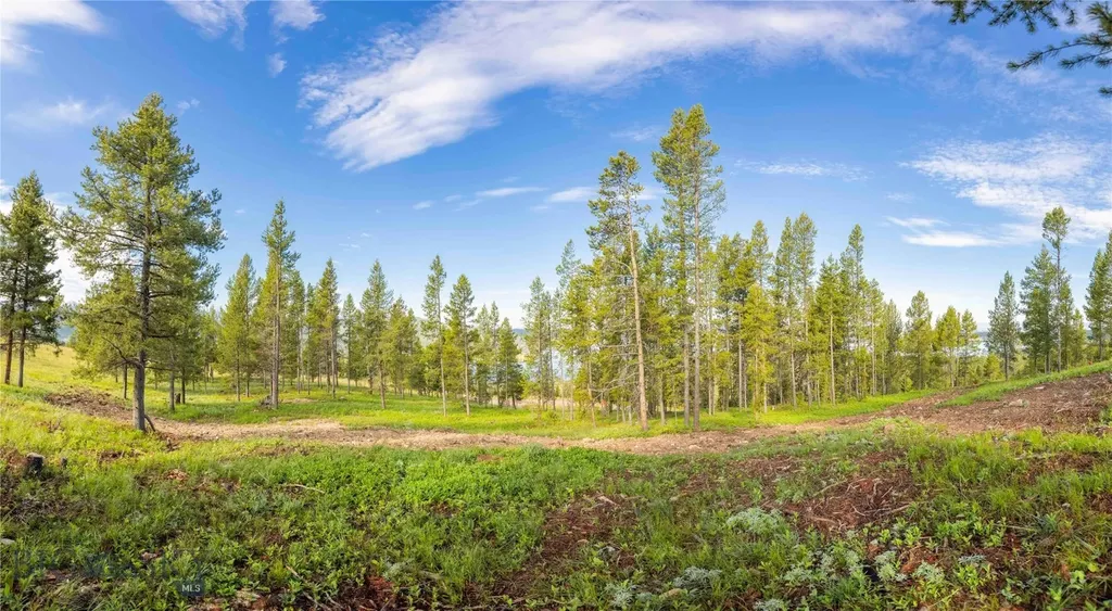 43 Elk Meadows Lane Anaconda MT 59711