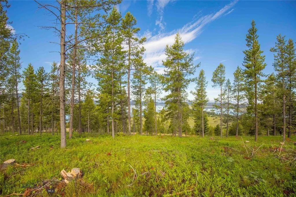 43 Elk Meadows Lane Anaconda MT 59711