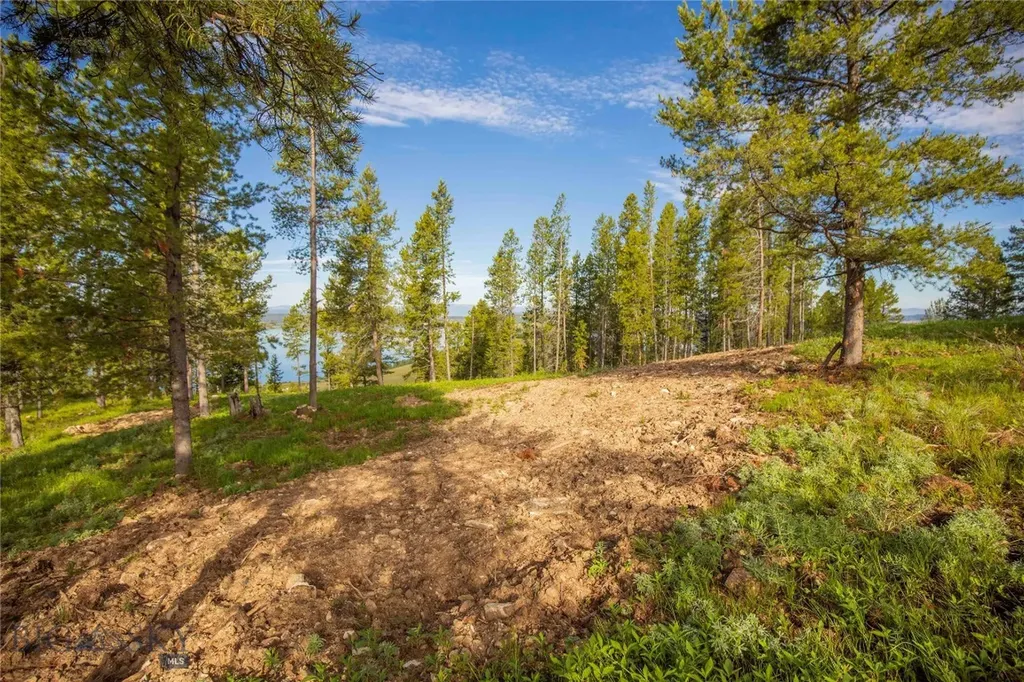 43 Elk Meadows Lane Anaconda MT 59711