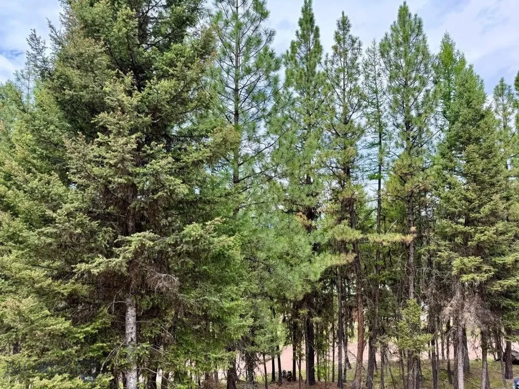 1180 Grandview Drive Seeley Lake MT 59868