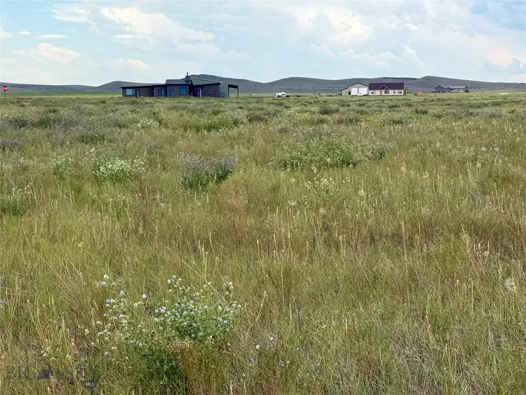 40 Buffalo Jump Trail Toston MT 59643