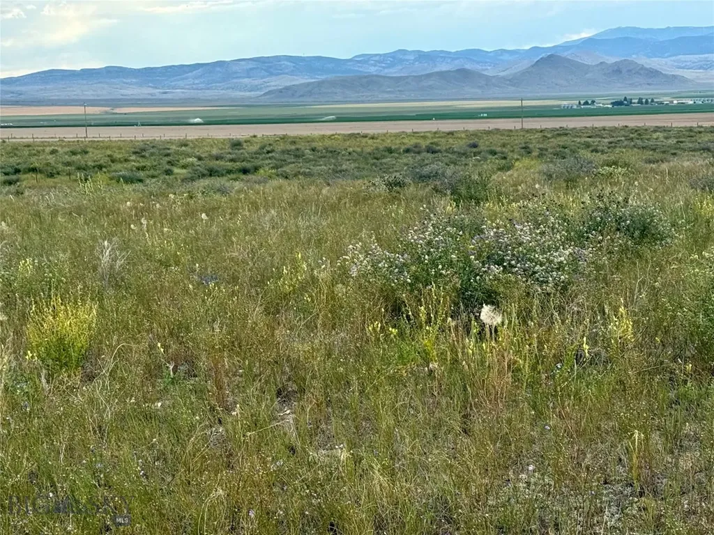 40 Buffalo Jump Trail Toston MT 59643