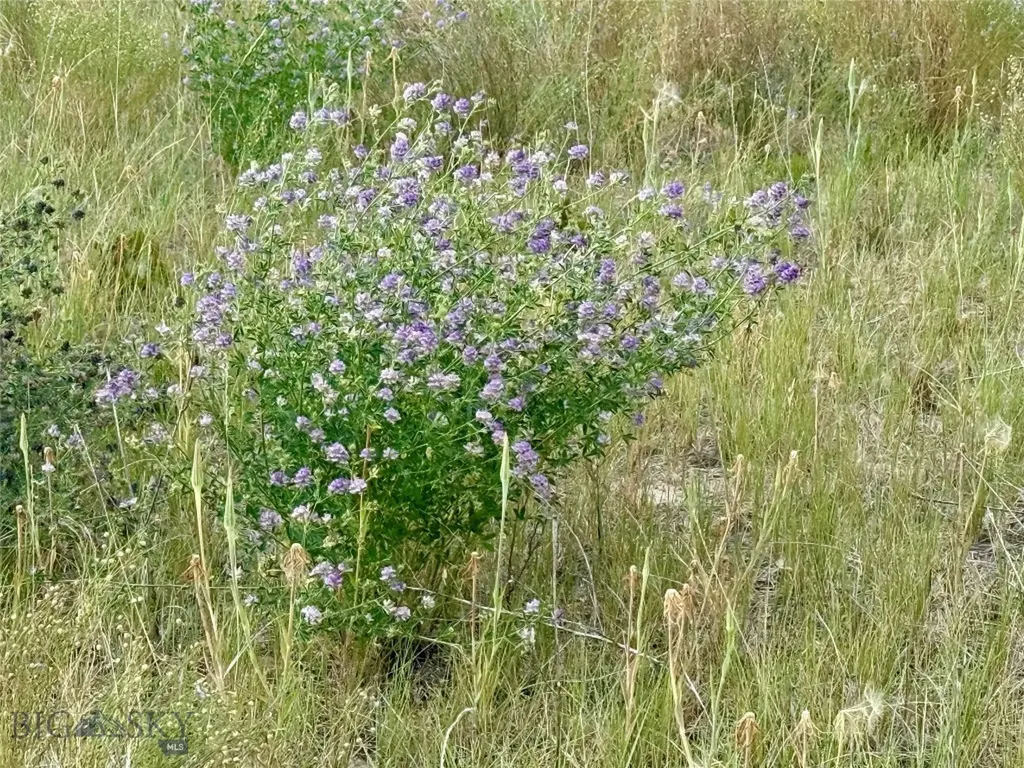 40 Buffalo Jump Trail Toston MT 59643